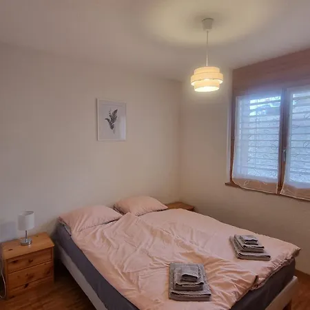 La Roussane Spacieux Et Confortable Ovronnaz