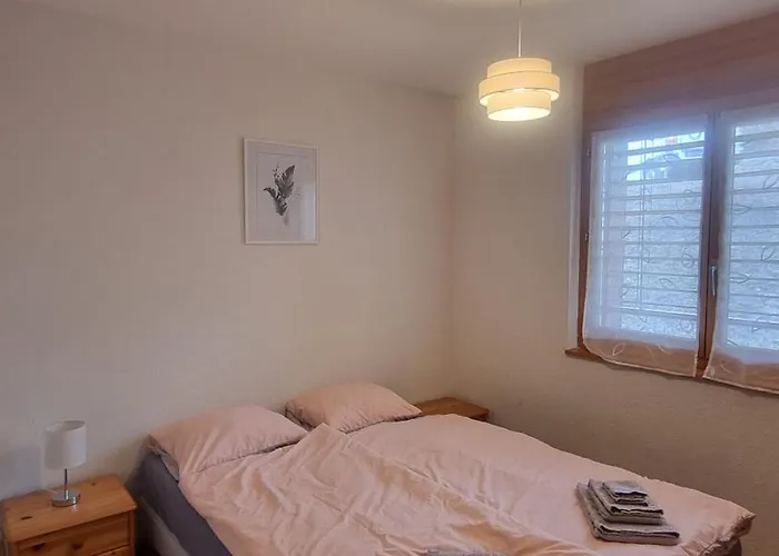 La Roussane Spacieux Et Confortable Ovronnaz